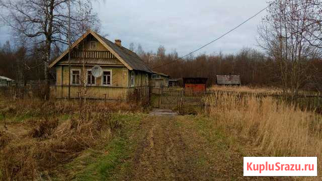 Дом 50 кв.м. на участке 20 сот. Сольцы - изображение 1