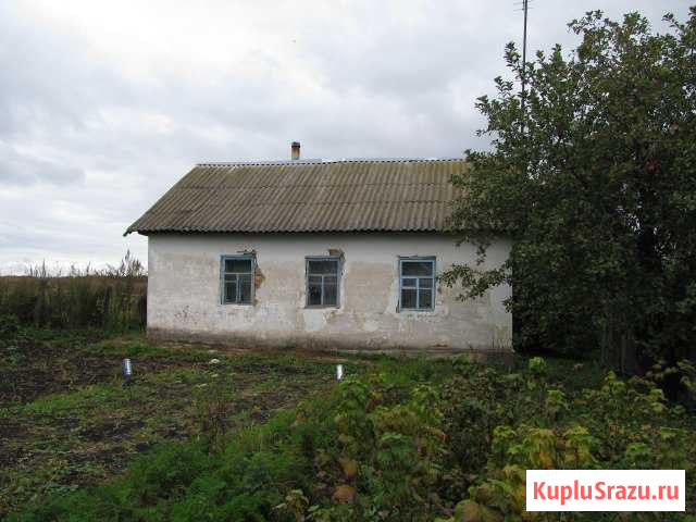 Дом 40 кв.м. на участке 67 сот. Хомутово - изображение 1