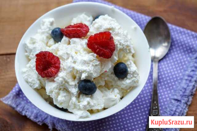 Домашний творог из козьего молока Ялга - изображение 1