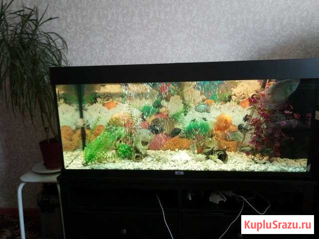 Jiwel 300 литров Искитим - изображение 1