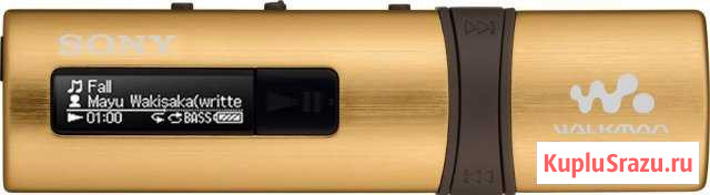 Sony NWZ-B183F (золотой) Моздок - изображение 1