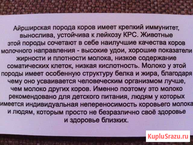 Молочная продукция от айрширских коров Кузнецк - изображение 1