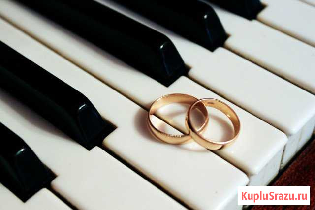 Ваш свадебный фотограф Мичуринск - изображение 1