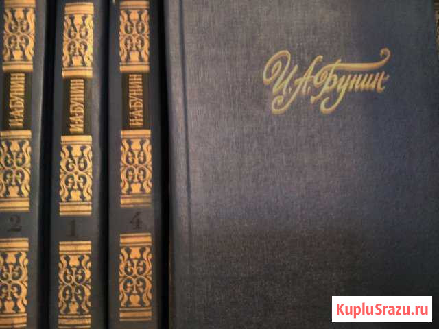 Бунин Иван Алексеевич Глазов - изображение 1