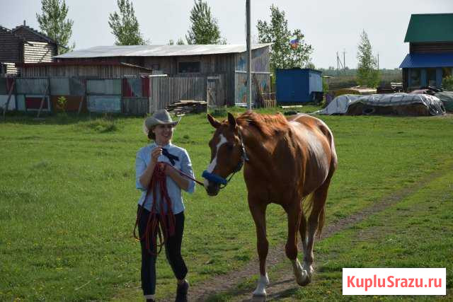 Конные прогулки, Кемпинг Мирный - изображение 1