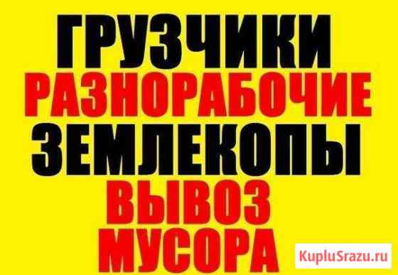 Очистка участков любой сложности Мичуринск