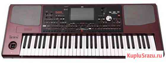 Korg PA1000 Тверь