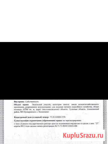  Новогуровский - изображение 1