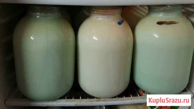 Молоко, молочные продукты Петровское - изображение 1