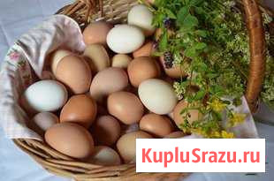Яйца домашние с Волгоградской области Дзержинский - изображение 1