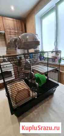 Клетка для хомяка Серпухов
