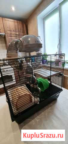 Клетка для хомяка Серпухов - изображение 1