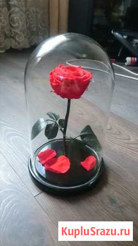 Вечная роза в колбе Жуковский - изображение 1