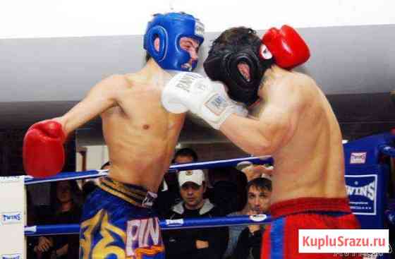 Тайский бокс в Королёве Королев