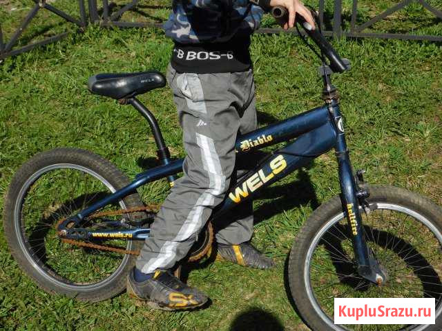 Wels diablo Старая - изображение 1