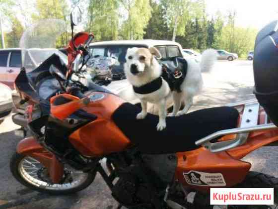 Stels 400GS Альметьевск