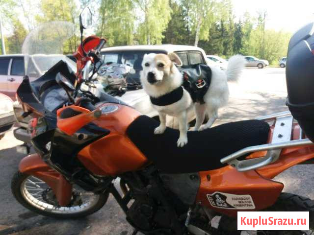Stels 400GS Альметьевск - изображение 1
