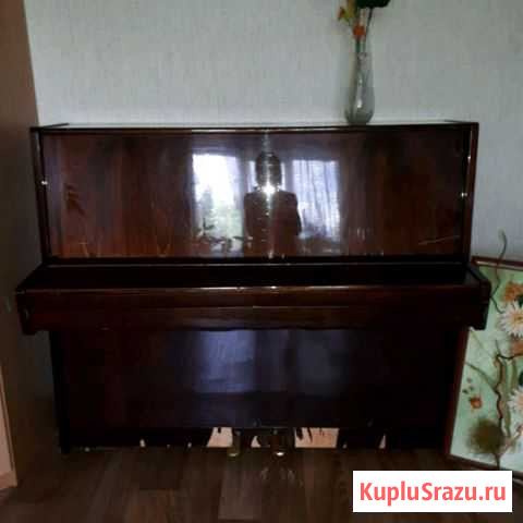 Пианино Нижнекамск - изображение 1