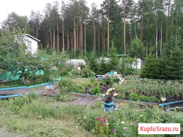  Горный Щит - изображение 1