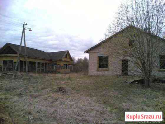  Кингисепп