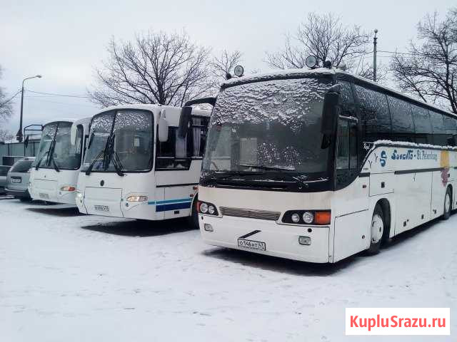 Заказ автобусов в городе Выборг Выборг - изображение 1