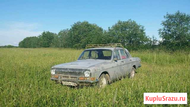 ГАЗ 24 Волга 2.4 МТ, 1981, седан Гатчина - изображение 1