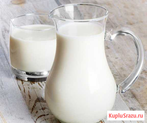 Молоко козье. творог Кингисепп - изображение 1