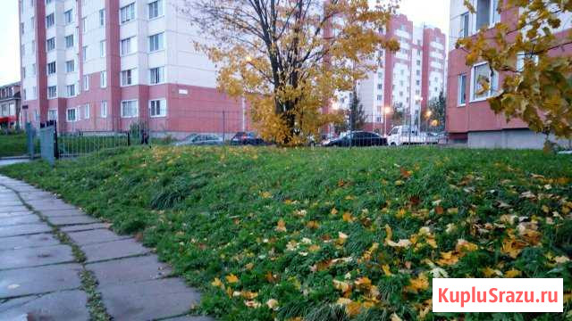  Коммунар - изображение 1