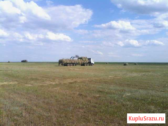 Сено Знаменск - изображение 1