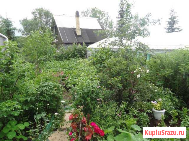  Петропавловск-Камчатский - изображение 1