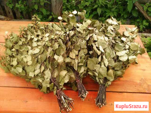 Березовые веники Вельск - изображение 1