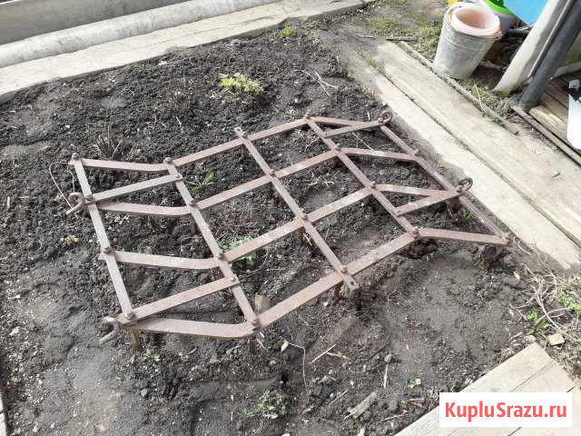 Продам борону конскую Котлас - изображение 1