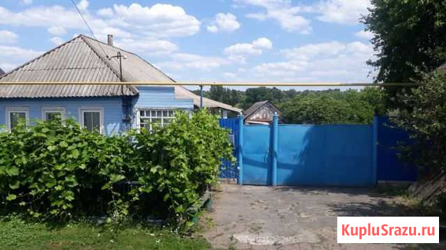  Ракитное - изображение 1