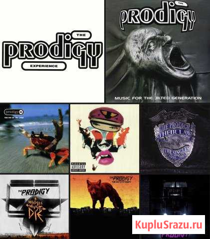 Prodigy на виниле и CD Дубовое - изображение 1