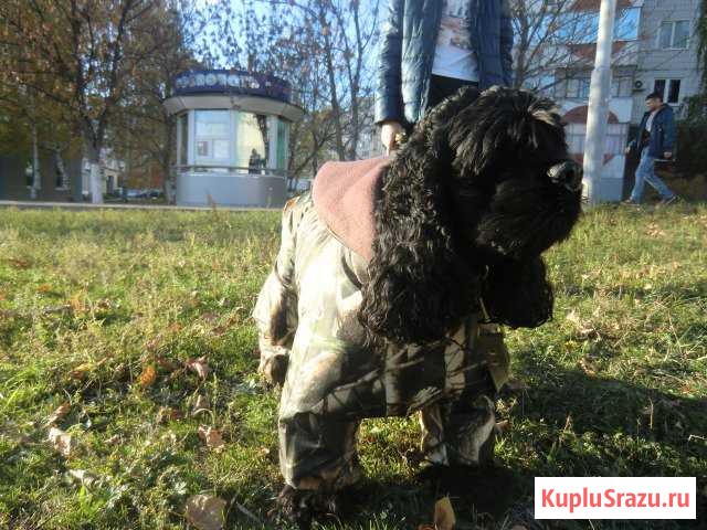 Одежда на заказ Старый Оскол - изображение 1