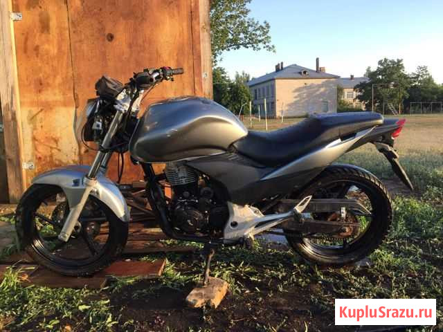 Stels flex 250 Светлый Яр - изображение 1