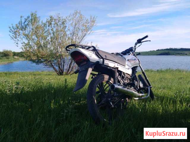 Мопед орион грифон 125 кубов Ольховатка - изображение 1