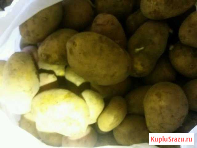 Картофель с доставкой Муром - изображение 1