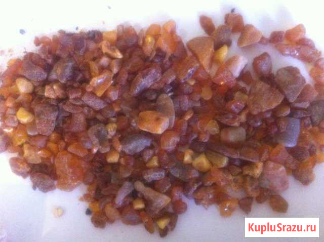 Необработанный янтарь Калининградский Камышин - изображение 1