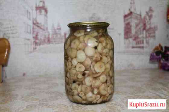 Маринованные маслята.консервированные огурцы Вологда