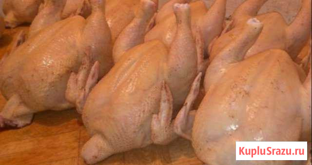 Продам мясо бройлера Павловск - изображение 1