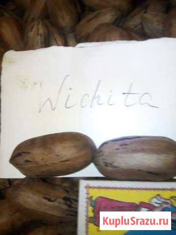 Орехи пекан Балтийск - изображение 1