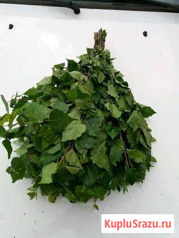 Веники березовые Прокопьевск - изображение 1