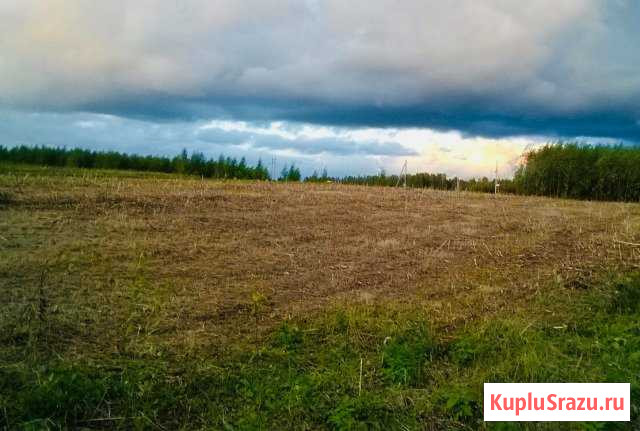  Кострома - изображение 1