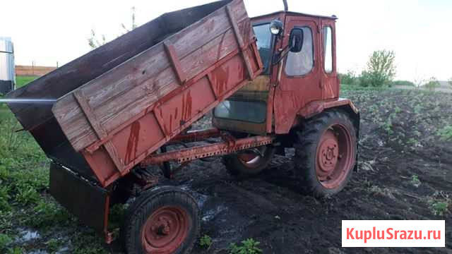 Трактор т 16 Курск - изображение 1