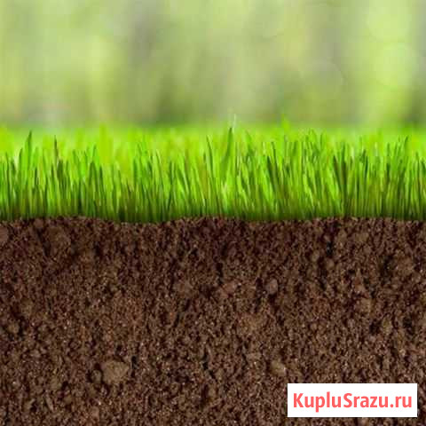 Газонный грунт (торф) с полей добычи Кострома - изображение 1