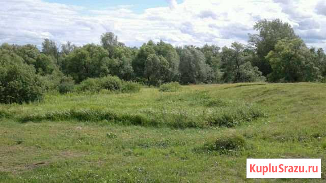 Дом 51 кв.м. на участке 25 сот. Большие Березники - изображение 1