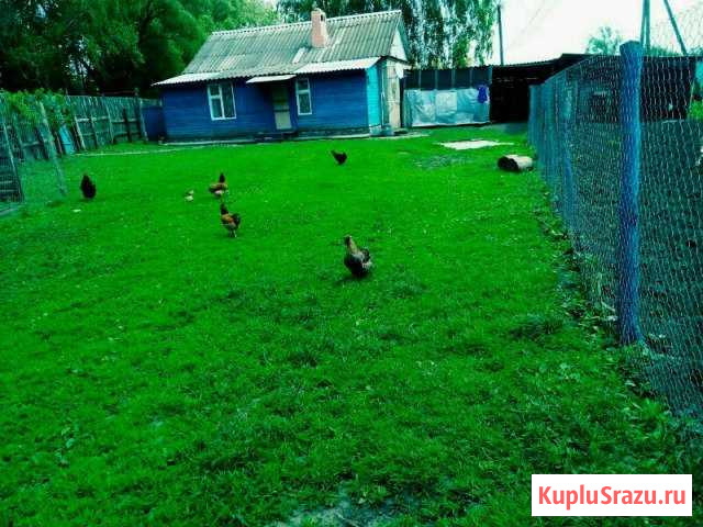 Дом 52 кв.м. на участке 12 сот. Шаблыкино - изображение 1