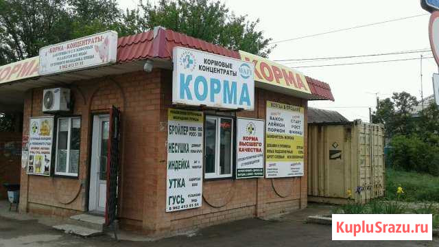 Суточный молодняк птицы Новоалександровск - изображение 1