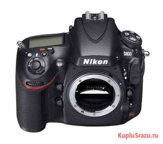 Nikon D800 Тамбов